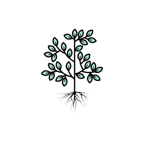 Level 3