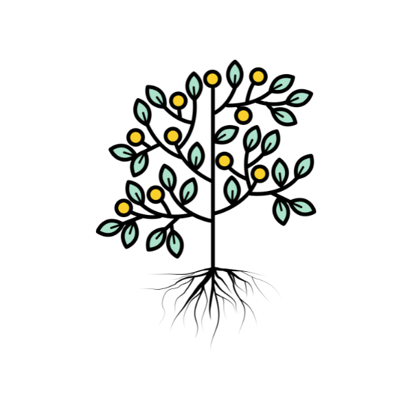 Level 4