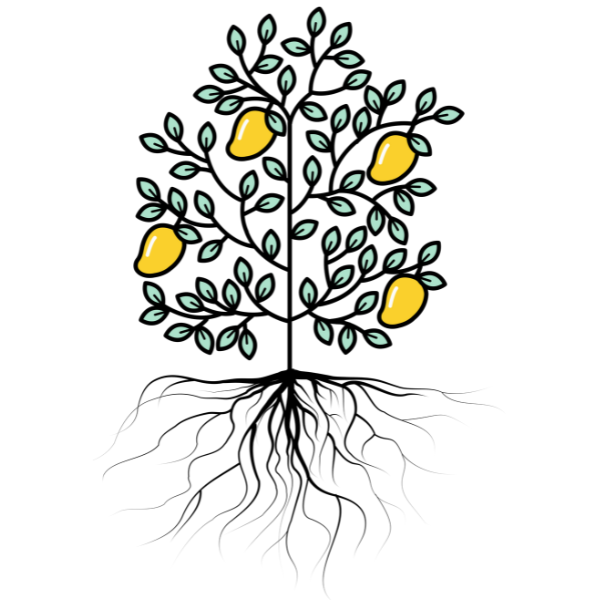 Level 4