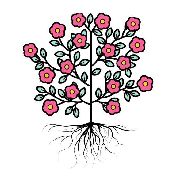 Level 8